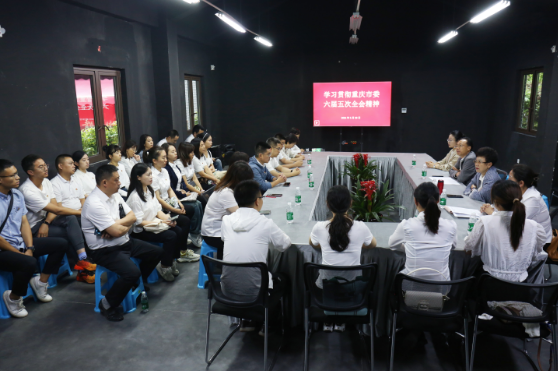 suncitygroup̫š(й)ҳ¼